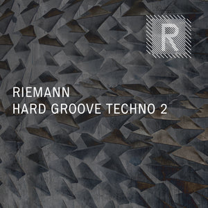 Riemann Hard Groove Techno 2 (24bit WAV Loops & Oneshots)