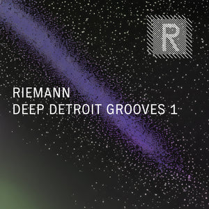 Riemann Deep Detroit Grooves 1 (24bit WAV Loops & Oneshots)
