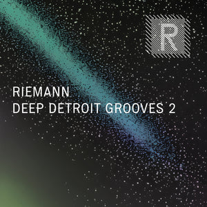 Riemann Deep Detroit Grooves 2 (24bit WAV Loops & Oneshots)