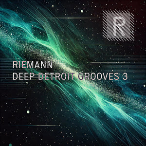 Riemann Deep Detroit Grooves 3 (24bit WAV Loops & Oneshots)