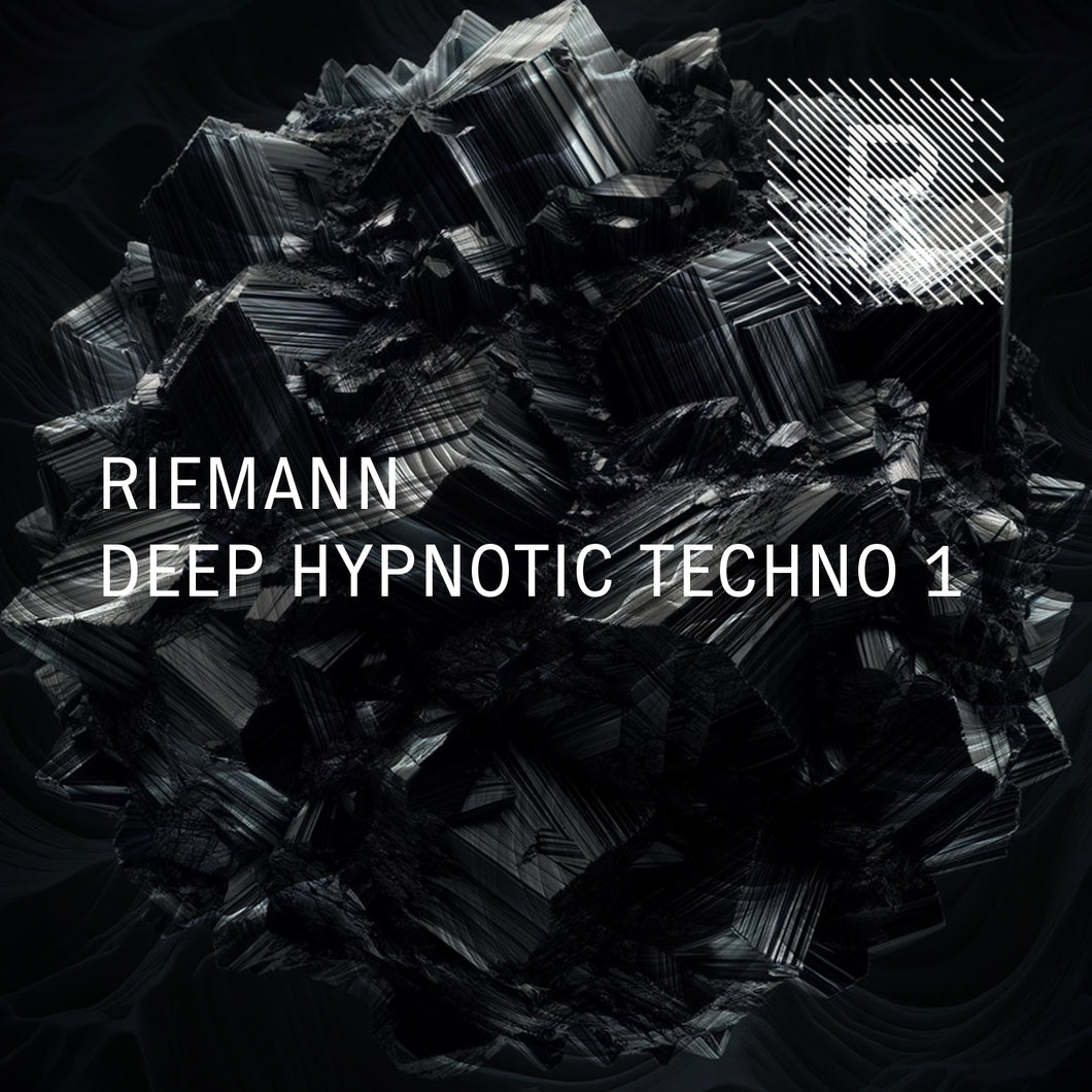 Riemann Deep Hypnotic Techno 1 (24bit WAV Loops & Oneshots)