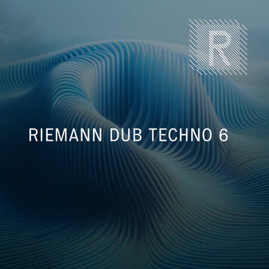 Riemann Dub Techno 6 (24bit WAV Loops & Oneshots)