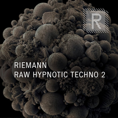 Riemann Raw Hypnotic Techno 2 (24bit WAV Sounds & MIDI)