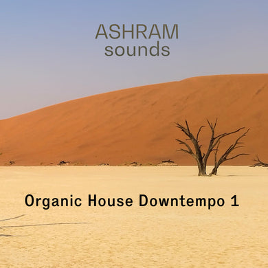 ASHRAM Organic House Downtempo 1 (Loops & Oneshots Sample Pack)