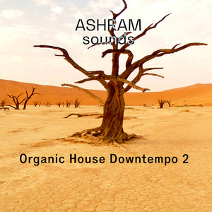 ASHRAM Organic House Downtempo 2 (Loops, Oneshots and MIDI)