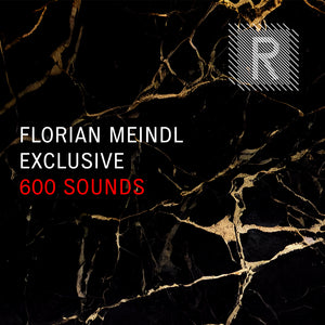 Florian Meindl Exclusive Sounds 2023 (24bit WAV Loops & Oneshots)