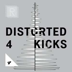 Riemann Distorted Kicks 4 (24bit WAV Loops & Oneshots)