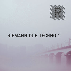 Riemann Dub Techno 1 (24bit WAV Loops & Oneshots)
