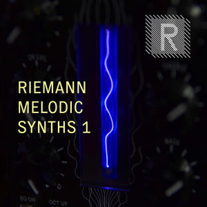 Riemann Melodic Synths 1 (24bit WAV - Loops)