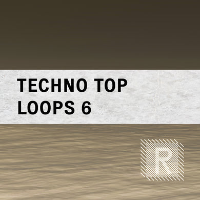 Riemann Techno Top Loops 6 (24bit WAV Loops)